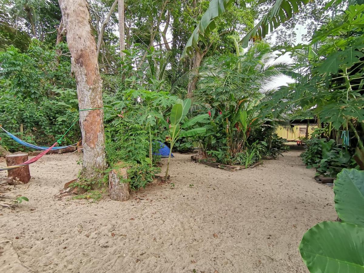 Oasis Hostel Puerto Viejo de Talamanca Екстериор снимка