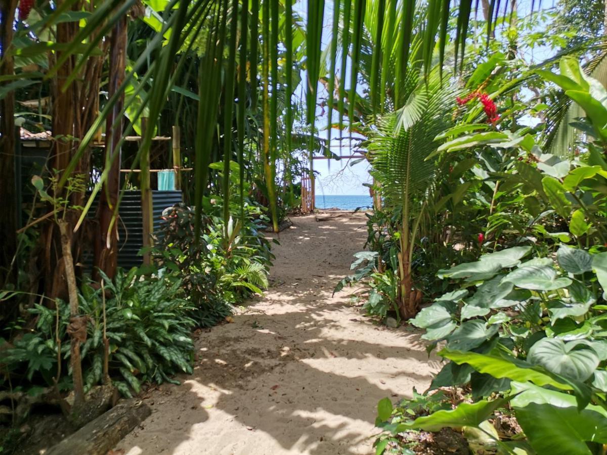 Oasis Hostel Puerto Viejo de Talamanca Екстериор снимка