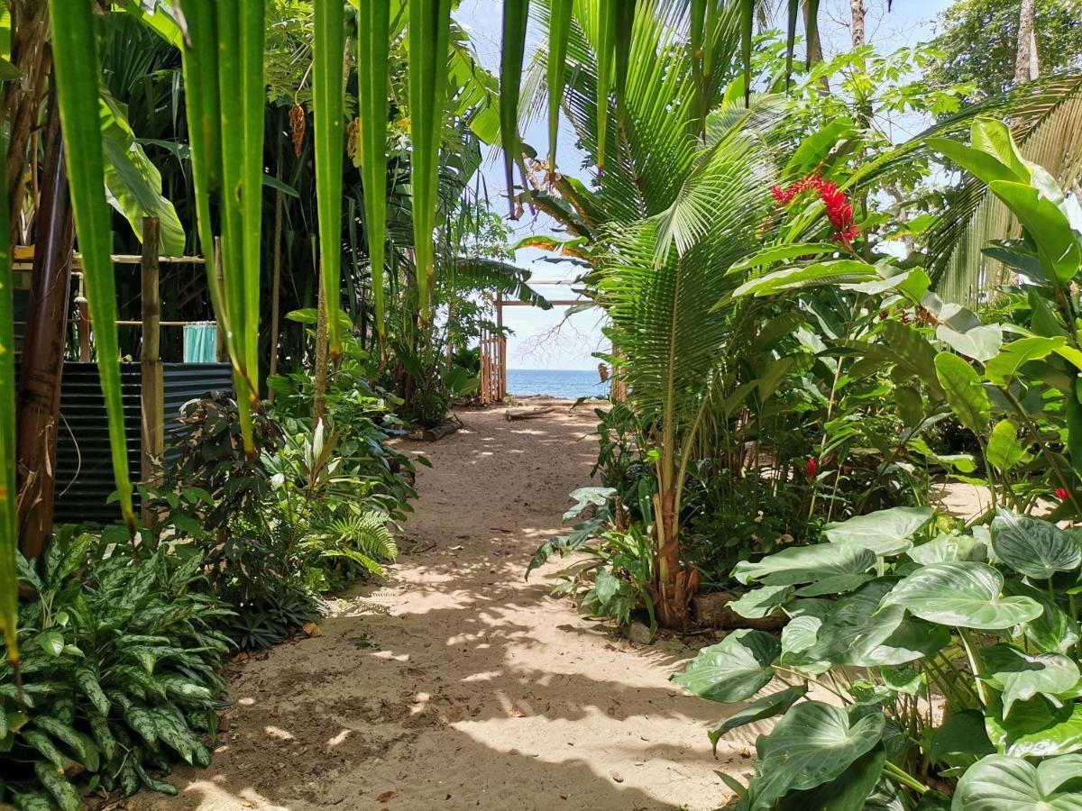 Oasis Hostel Puerto Viejo de Talamanca Екстериор снимка