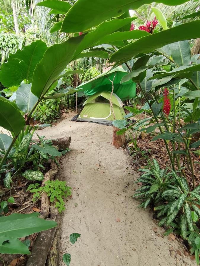 Oasis Hostel Puerto Viejo de Talamanca Екстериор снимка