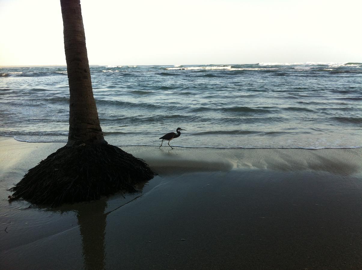 Oasis Hostel Puerto Viejo de Talamanca Екстериор снимка