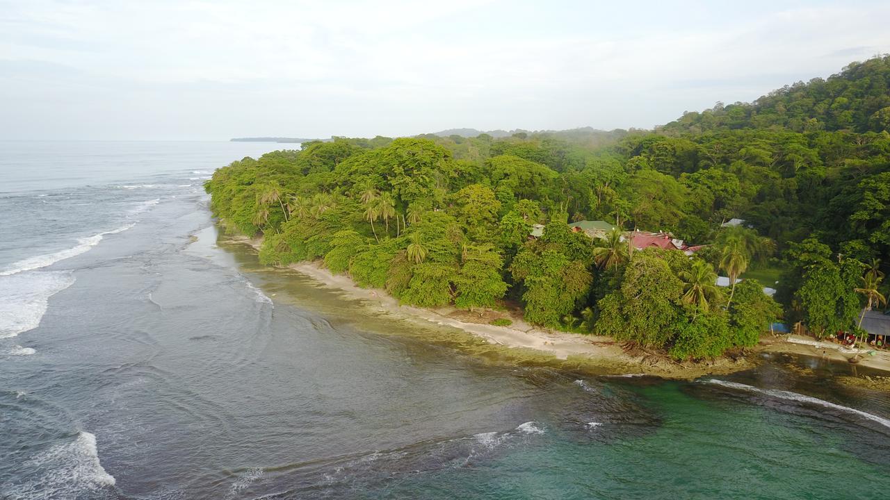 Oasis Hostel Puerto Viejo de Talamanca Екстериор снимка