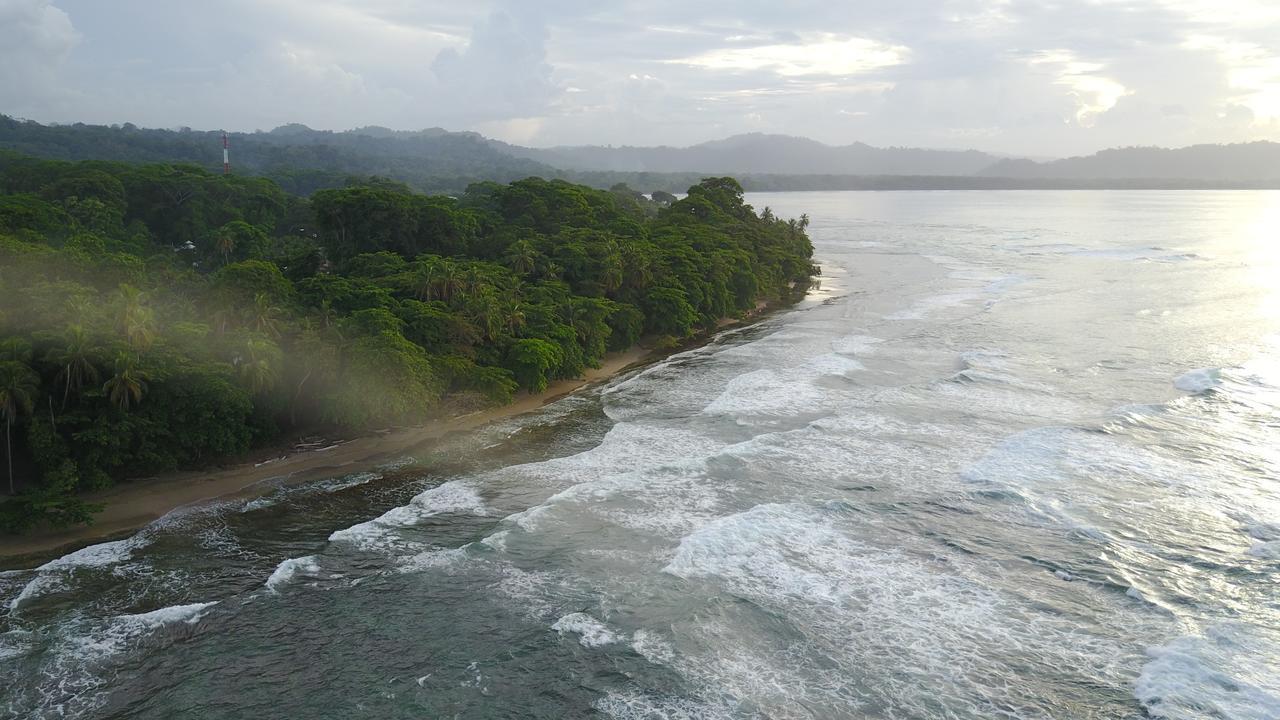 Oasis Hostel Puerto Viejo de Talamanca Екстериор снимка