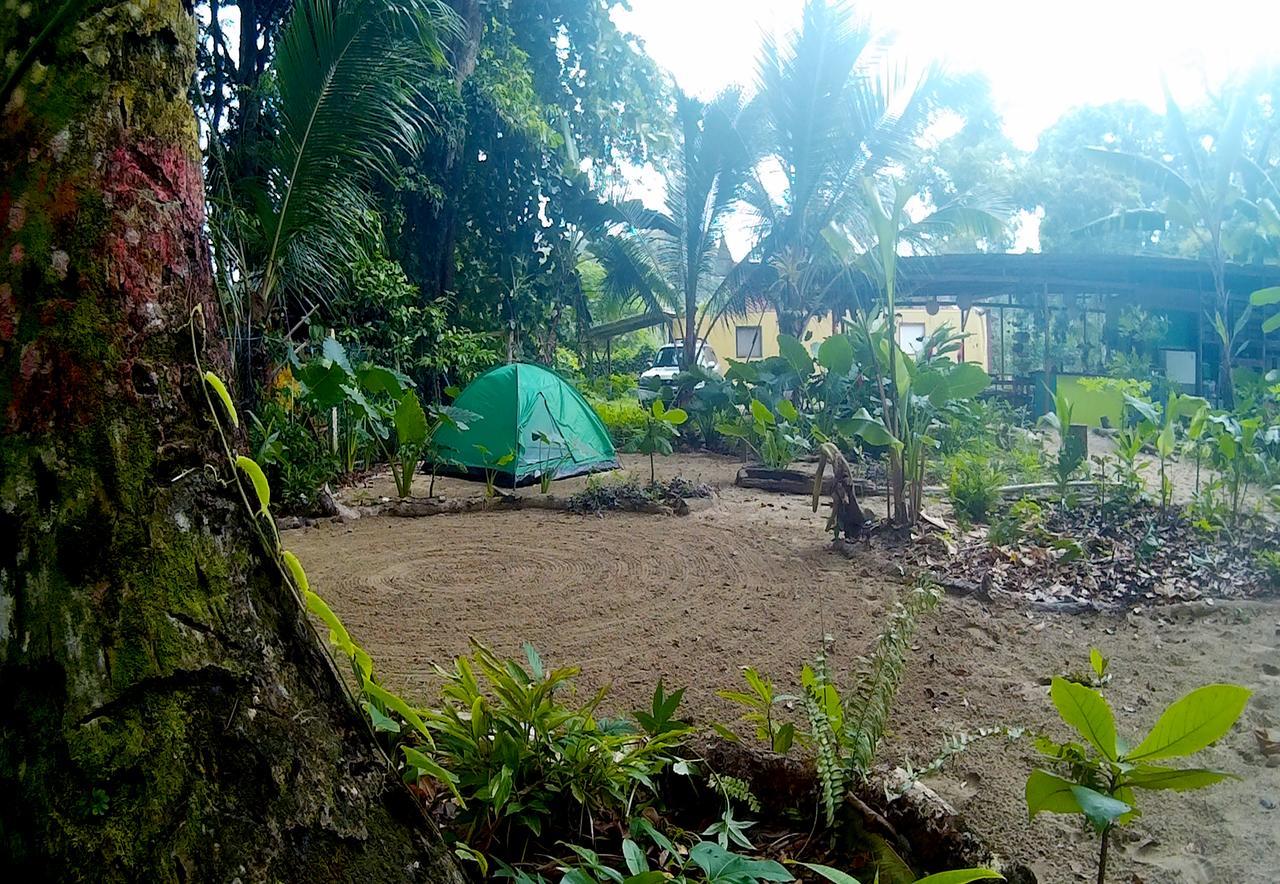 Oasis Hostel Puerto Viejo de Talamanca Екстериор снимка