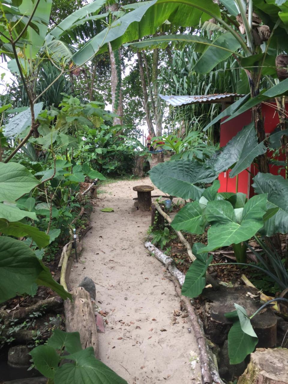Oasis Hostel Puerto Viejo de Talamanca Екстериор снимка