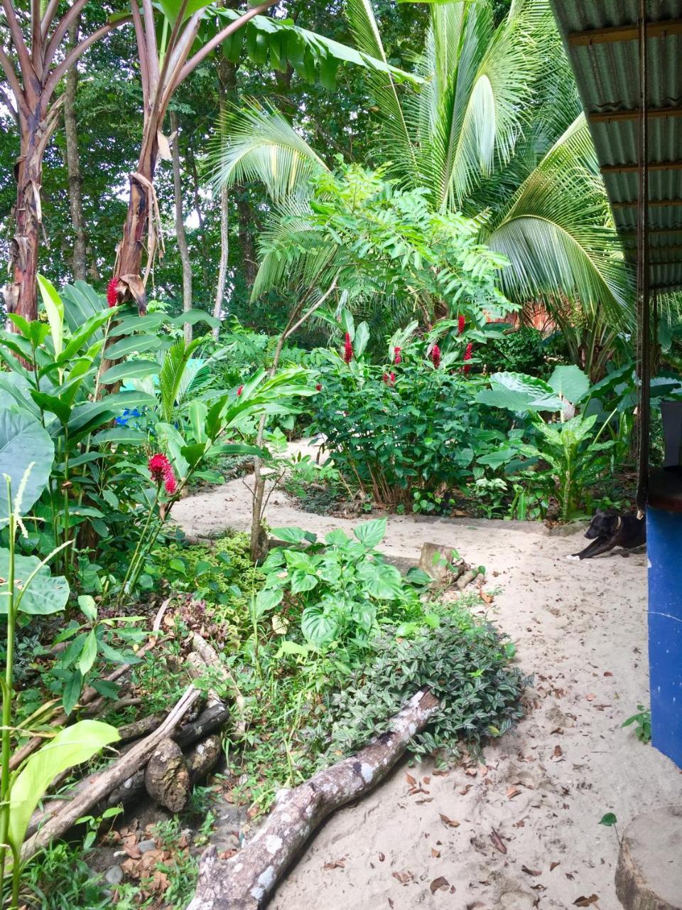 Oasis Hostel Puerto Viejo de Talamanca Екстериор снимка