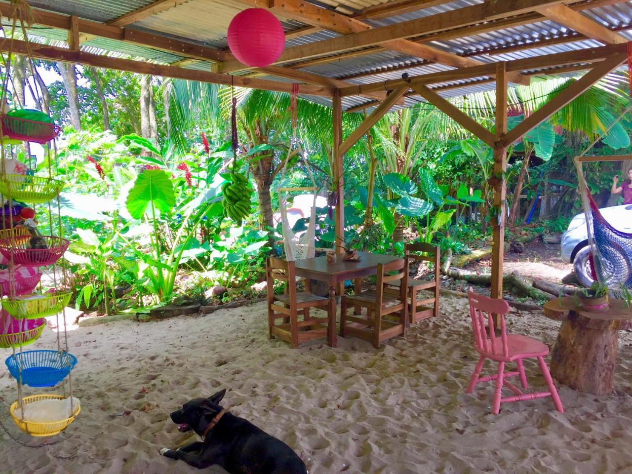 Oasis Hostel Puerto Viejo de Talamanca Екстериор снимка