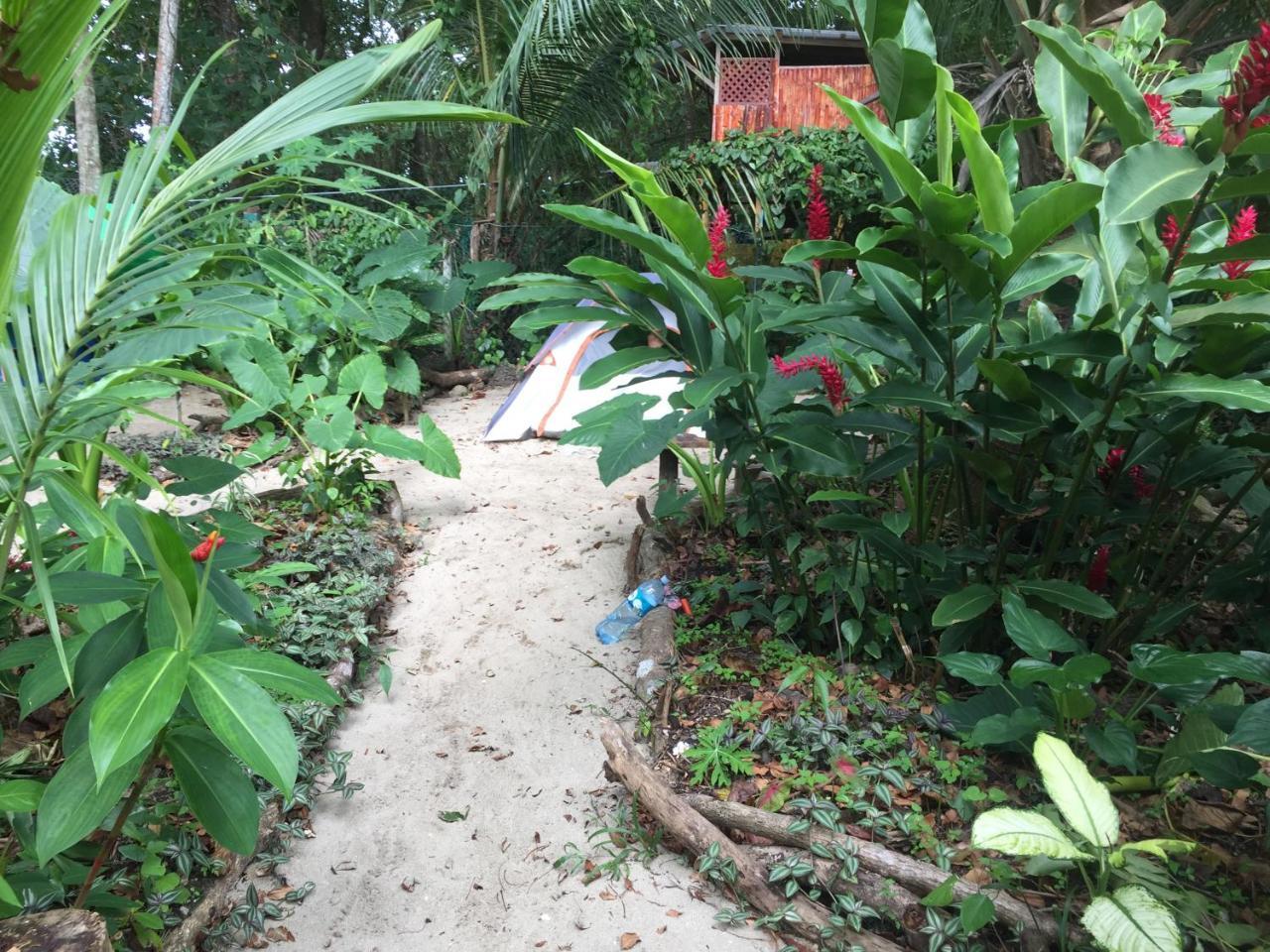 Oasis Hostel Puerto Viejo de Talamanca Екстериор снимка