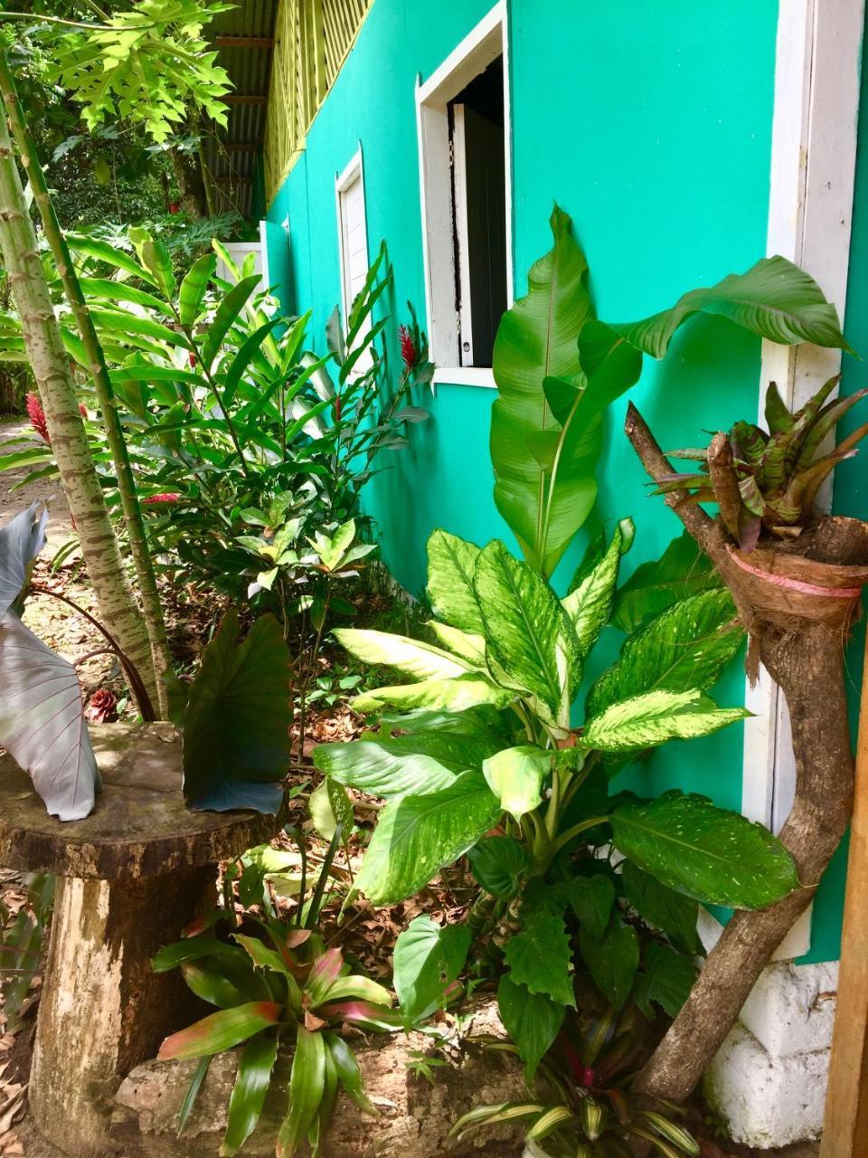 Oasis Hostel Puerto Viejo de Talamanca Екстериор снимка